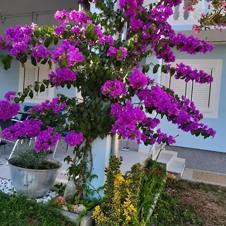 Lejlighed Villa Pera Apartments *